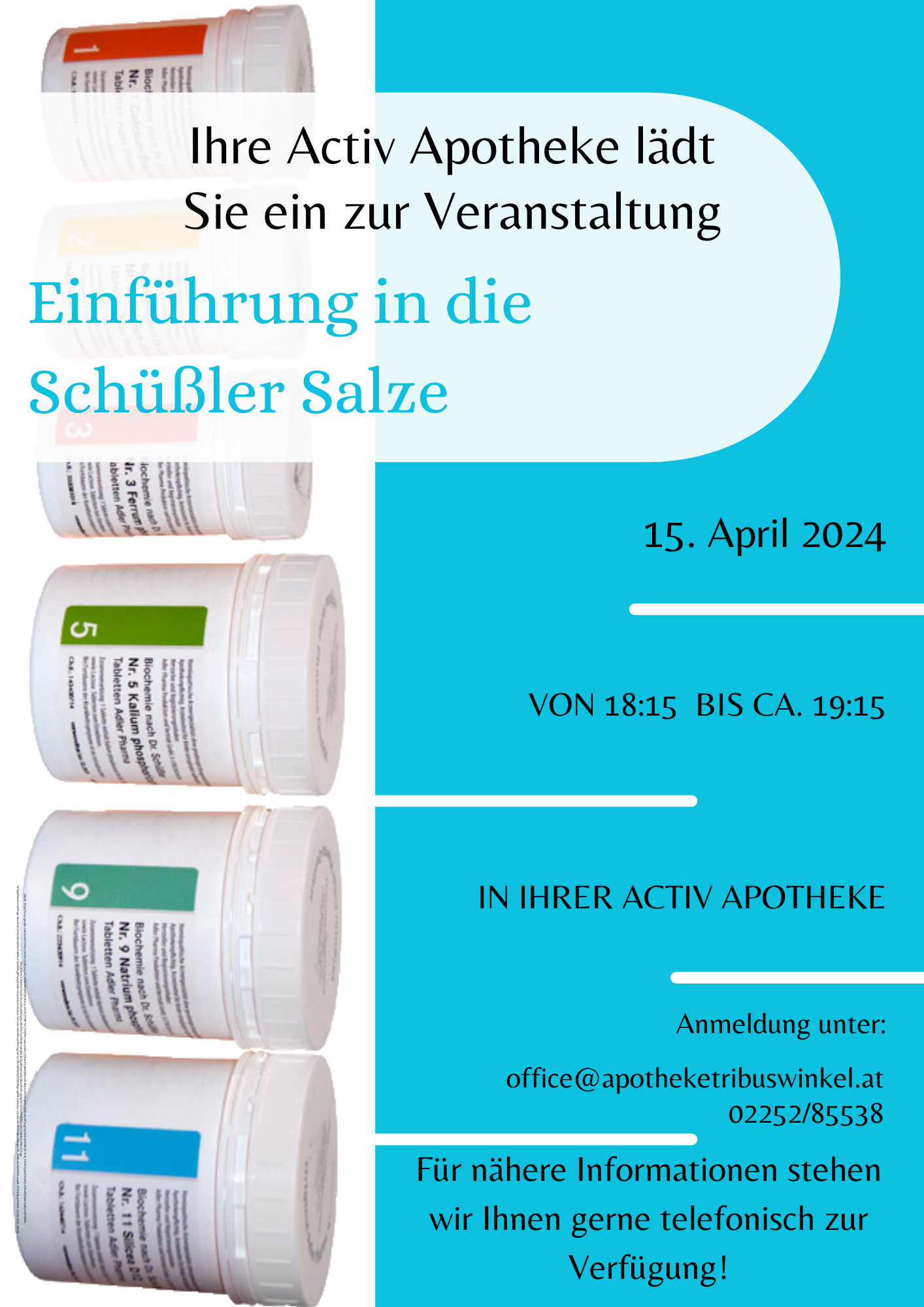 Read more about the article Einführung in die Schüßler Salze!