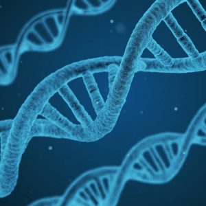 DNA